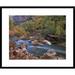 Global Gallery Virgin River Flowing through Canyon in Autumn, Zion National Park | 24 H x 1.5 D in | Wayfair DPF-396823-1824-266