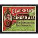 Global Gallery 'Blackhawk Ginger Ale' Framed Vintage Advertisement in Green/Red | 18.5 H x 24 W x 1.5 D in | Wayfair GCF-376177-22-299