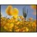 Global Gallery Saguaro Cactus & California Poppy Field at Gonzales Pass, Tonto National Forest | 18 H x 24 W x 1.5 D in | Wayfair