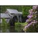 Global Gallery Rhododendron Blossoming at Mabry Mill, Blue Ridge Parkway | 25.56 H x 36 W x 1.5 D in | Wayfair GCF-395943-36-175