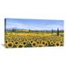 Global Gallery 'Girasoli' by Tebo Marzari Painting Print on Wrapped Canvas in White | 18 H x 36 W x 1.5 D in | Wayfair GCS-456489-1836-142