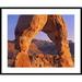 Global Gallery 'Delicate Arch & La Sal Mountains, Arches National Park, Utah' Framed Photographic Print in Blue/Brown | Wayfair DPF-396598-2835-266