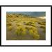 Global Gallery 'Sangre De Cristo Mountains at Great Sand Dunes National Monument, Colorado' Framed Photographic Print Paper in Blue/Yellow | Wayfair