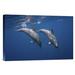 Global Gallery 'Two Bottlenose Dolphins' by Barathieu Gabriel Photographic Print on Wrapped Canvas in Blue | 16 H x 24 W x 1.5 D in | Wayfair