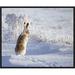 Global Gallery '-Tailed Jackrabbit' by Shlomo Waldmann Framed Photographic Print Canvas, Wood in White | 22 H x 28 W x 1.5 D in | Wayfair