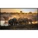 Global Gallery 'Elephant Huddle' by Simon Van Ooijen Framed Photographic Print Metal in Black/Orange | 23 H x 40 W x 1.5 D in | Wayfair