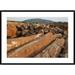 Global Gallery 'Logged Timber from the Tropical Rainforest, Cameroon' Framed Photographic Print Paper in Brown/Green | Wayfair