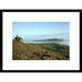 Global Gallery 'Galapagos Giant Tortoise on Caldera Rim, Alcedo Volcano, Galapagos Islands' Framed Photographic Print Paper in Blue/Brown | Wayfair