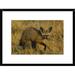 Global Gallery 'Bat-Eared Fox Portrait' Framed Photographic Print Paper in Brown | 18 H x 24 W x 1.5 D in | Wayfair DPF-453266-1218-266