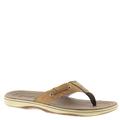 Sperry Top-Sider Baitfish Thong - Mens 12 Brown Sandal Medium