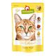 DeliCatessen Nassfutter Pouch Huhn Pur, 12er Pack (12 x 85 g)