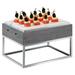 Cal-Mil Stainless Steel Display Riser & Stand Stainless Steel in Gray | 9.25 H x 15 W x 11 D in | Wayfair 3822-9-83