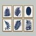 Indigo Fern Leaf Art - Print IV, 26" x 20" - Ballard Designs 26" x 20" - Ballard Designs