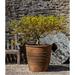 Red Barrel Studio® Mill Valley Cast Stone Pot Planter Concrete in Black/Brown/Green | 28.75 H x 29.75 W x 29.75 D in | Wayfair