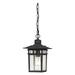 Nuvo Lighting 64956 - 1 Light 12" Textured Black Clear Seeded Glass Shade Hanging Lantern Light Fixture (COVE NECK 1 LGT OUTDOOR HANG)