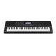 Casio CT-X700 Keyboard mit 61 anschlagdynamischen Standardtasten und Begleitautomatik