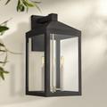 Nyack 21 3/4" High Black Outdoor Wall Light