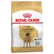 2 x 12kg Adult Great Dane Royal Canin Hundefutter trocken