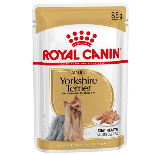 24 x 85g Yorkshire Terrier Royal Canin Hundefutter nass
