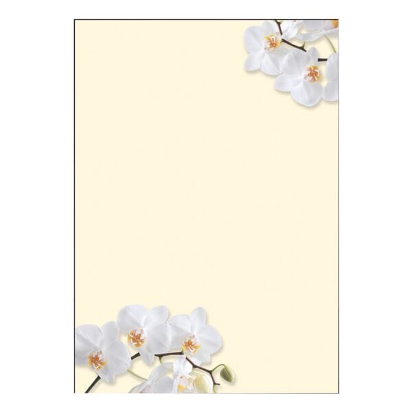Sigel Motivpapier »White Orchid« DP904 weiß, 21x29.7 cm