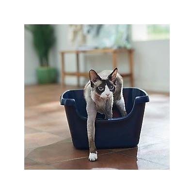 Frisco High Sided Cat Litter Box, Navy, Medium 18-in