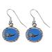 Women's Orlando Magic WinCraft Round Dangle Earrings