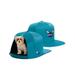 Teal Charlotte Hornets Small Pet Nap Cap Dog Bed