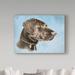 Trademark Fine Art 'Chocolate Lab' Graphic Art Print on Wrapped Canvas in Blue/Brown | 14 H x 19 W x 2 D in | Wayfair ALI33010-C1419GG