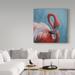 Trademark Fine Art 'Figure 8 Flamingo' Graphic Art Print on Wrapped Canvas in Blue/Red | 18 H x 18 W x 2 D in | Wayfair ALI33750-C1818GG