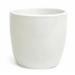 Ebern Designs Lawrey Ceramic Pot Planter Ceramic in White | 4.5 H x 4.75 W x 4.75 D in | Wayfair 5CDAE2D045FB4EB08886EE2CDB5D4070