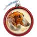 The Holiday Aisle® Dog Ball Ornament Holiday Splendor Collection Glass in Brown/Red | 4 H x 3 W x 3 D in | Wayfair E13AA89BCEB742DF8507BD9229CAE2F1