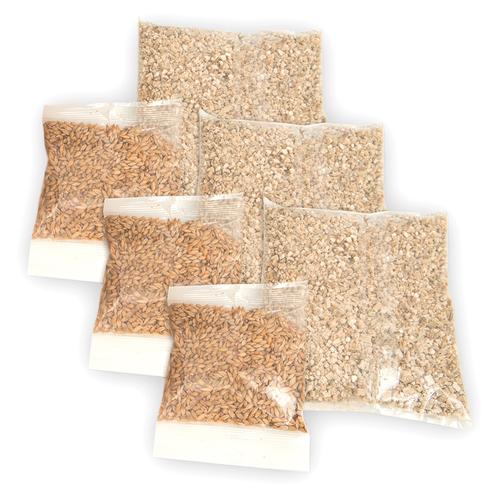 3er Grassamen-Kit Catit Senses 2.0 Katzengras