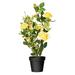 Vickerman 522783 - 21" Yellow Rose Plant in Pot (TA181701) Home Office Flower Bushes