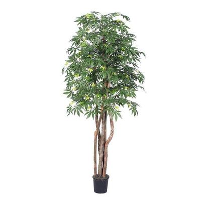 Vickerman 319512 - 6' Japanese Maple Executive (TEX1860-07) Maple Home Office Tree