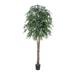 Vickerman 318904 - 6' Green Smilax Deluxe (TDX1460-07) Smilax Home Office Tree