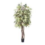 Vickerman 401231 - 6' Frosted Maple Executive (TEX1760-07) Maple Home Office Tree