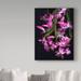 Trademark Fine Art 'Christmas Cactus' Graphic Art Print on Wrapped Canvas in White/Black | 47 H x 35 W x 2 D in | Wayfair ALI34405-C3547GG