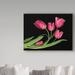 Trademark Fine Art 'Tulips 3' Graphic Art Print on Wrapped Canvas Metal in Black/Green/Pink | 24 H x 32 W x 2 D in | Wayfair ALI34353-C2432GG