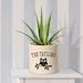 August Grove® Boylston 1 - Piece Ceramic Pot Planter Ceramic in Black | 9 H x 9.75 W x 9.75 D in | Wayfair 028C792D85F34C1B88DCED5219D13AC7