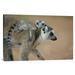 East Urban Home 'Ring-Tailed Lemur Baby Riding on Mother's Back, Vulnerable, Berenty Private Reserve, Madagascar' Photographic Print, | Wayfair