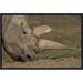 East Urban Home 'Northern White Rhinoceros Grazing, Native to Africa' Photographic Print, Wood in Gray/Green | 12 H x 18 W x 1.5 D in | Wayfair