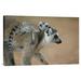 East Urban Home 'Ring-Tailed Lemur Baby Riding on Mother's Back, Vulnerable, Berenty Private Reserve, Madagascar' Photographic Print | Wayfair