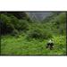 East Urban Home 'Giant Panda Sitting in Vegetation Eating, Wolong Nature Reserve, China' Photographic Print, in White | Wayfair EAAC8404 39225759
