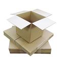 Triplast 229 x 229 x 229mm Small Single Wall 9x9x9" Shipping Mailing Postal Gift Cube Cardboard Boxes (Pack of 100)