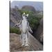 East Urban Home 'Ring-Tailed Lemur Male Walking Upright on Rocks in the Andringitra Mountains, Vulnerable | 30 H x 20 W x 1.5 D in | Wayfair