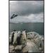 East Urban Home Chinstrap Penguin Parents w/ Chick, Paradise Bay, Antarctica - Wrapped Canvas Photograph Print Canvas, in White | Wayfair