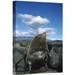 East Urban Home 'Galapagos Fur Seal Bull Seal, Fernandina Island, Galapagos Islands, Ecuador' Photographic Print Canvas, in Blue/Brown | Wayfair