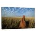 East Urban Home 'Termite Mound in Open Cerrado Grassland, Emas National Park, Brazil' Photographic Print Canvas, in White | Wayfair