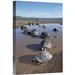 East Urban Home 'Volcan Alcedo Giant Tortoises Wallowing, Alcedo Volcano, Galapagos Islands' Photographic Print Canvas, in Brown/Gray | Wayfair