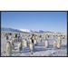 East Urban Home Emperor Penguin Rookery, Princess Martha Coast, Weddell Sea, Antarctica - Wrapped Canvas Photograph Print Canvas, in White | Wayfair